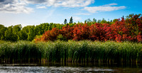 Fall Colours at Lake of the Woods